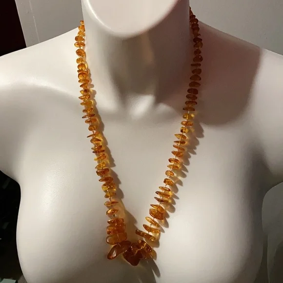 COPY - Nwot Amber color necklace - Picture 2 of 3